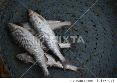 Some fresh fishes in basket for retail sale at bazaar 101568041