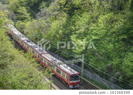 Keikyu [Keikyu 1000 type] Local bound for Kanazawa Bunko runs through the fresh greenery 101568399