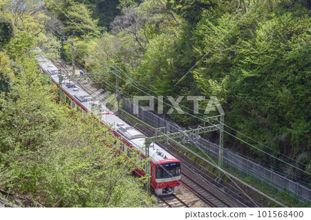 京急[京急1000型]在新鮮的綠色中奔跑的逗子葉山本地開往 101568400