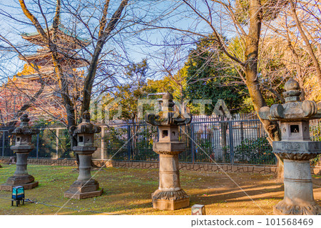 [Urban scenery of Tokyo] Scenery around Ueno Toshogu Shrine in autumn 101568469