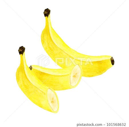 Banana cut in half fruit hand-painted watercolor illustration material Banana cut in half fruit hand-painted watercolor illustration material 101568632