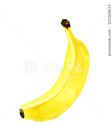 One yellow banana fruit hand-painted watercolor illustration material One yellow banana fruit hand-painted watercolor illustration material 101568633