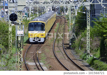 京急彎道行駛【京急1000型】黃色快樂列車 京急彎道行駛【京急1000型】黃色快樂列車 101568721