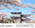 盛開的櫻花和跡象 101568772