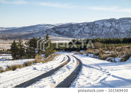 The Muckish gap road in winter - County Donegal, Ireland The Muckish gap road in winter - County Donegal, Ireland 101569430