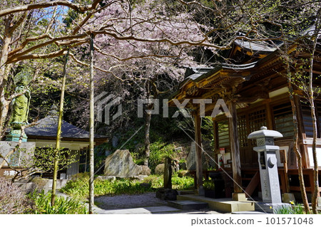 34th Hizawa Suisenji Temple, Minano-cho, Chichibu-gun, Saitama Prefecture 101571048