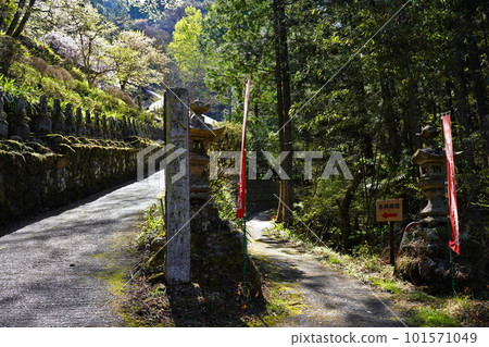 34th Hizawa Suisenji Temple, Minano-cho, Chichibu-gun, Saitama Prefecture 101571049