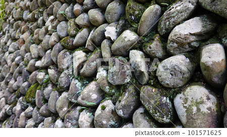 Mossy stone wall with round stones of similar size 8986 101571625