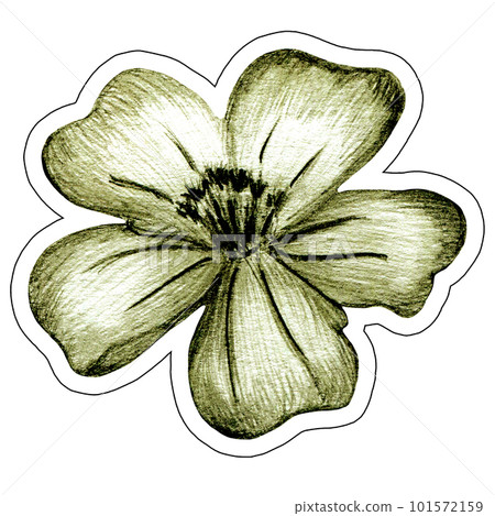 Marigold Flower Sticker Illustration. Hand Drawn Isolated Colorful Floral Sticker. 101572159