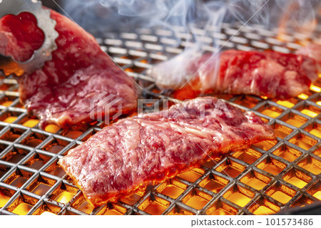 在網烤的可口烤肉 在網烤的可口烤肉 101573486