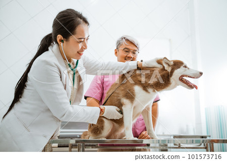 a male veteranian write down medical check up result 101573716