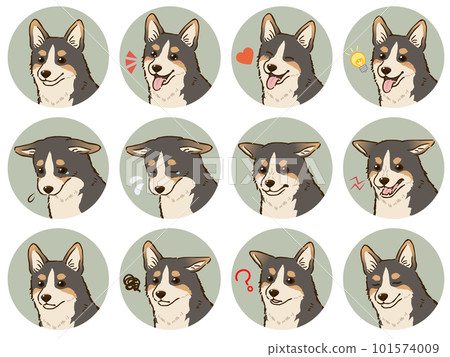 Corgi facial expression icon set (tricolor) 101574009