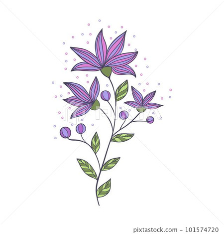 Springtime colorful Daisy flower on white background Springtime colorful Daisy flower on white background 101574720