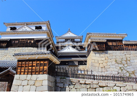 [Matsuyama City, Ehime Prefecture] Matsuyama Castle 101574965