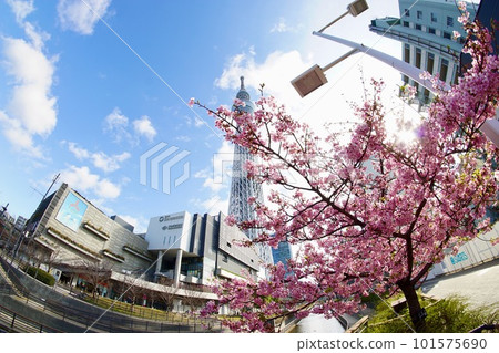 東京天空樹 東京天空樹 101575690