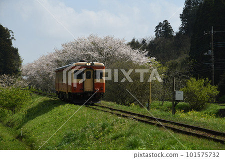 Isumi Railway Isumi Railway 101575732