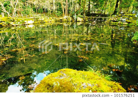 green pond green pond 101576251