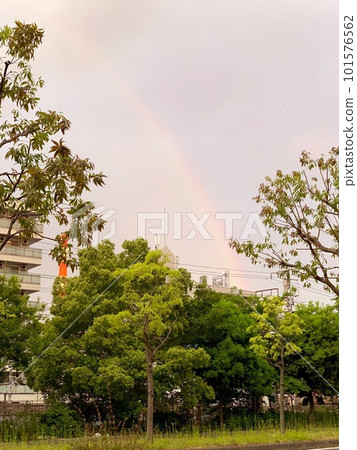 rainbow at dusk rainbow at dusk 101576562