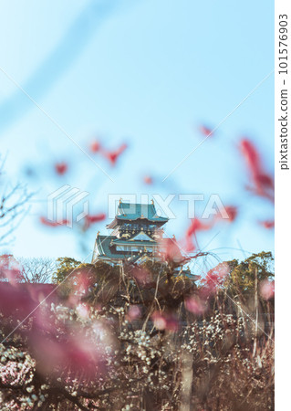 梅花環繞的古堡 101576903