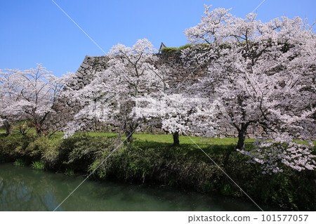 Shinoyama城堡 Shinoyama城堡 101577057