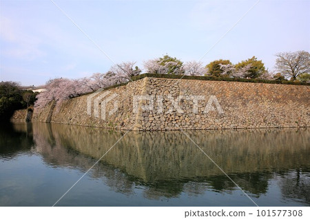 姬路城堡 姬路城堡 101577308
