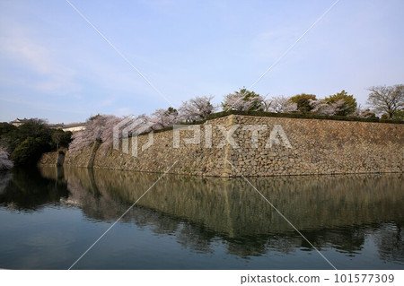 姬路城堡 101577309