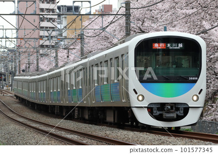 Sakura and Seibu Shinjuku Line 30000 series (Express - 8-car formation: Seibu Shinjuku ⇔ Honkawagoe) 101577345