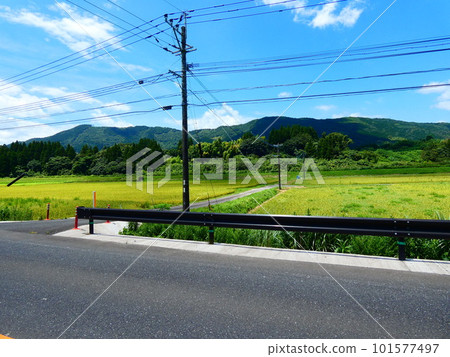 The road that goes on forever The road that goes on forever 101577497