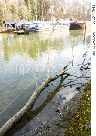 A fallen tree and a boat anchored along the River Thames in the suburbs of London A fallen tree and a boat anchored along the River Thames in the suburbs of London 101577641
