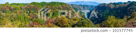 染紅紅葉的宗橫峽全景（長崎鼻觀景台）（熊本縣大和町長崎市） 101577745