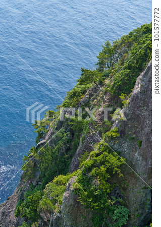 Rock wall and sea of Izu Irozaki Rock wall and sea of Izu Irozaki 101577772