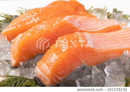 宮城縣產的生銀鮭魚(養殖) 宮城縣產的生銀鮭魚(養殖) 101578230