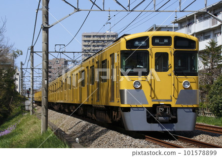 [SS] 西武新宿線 2000 系列列車（普通列車 - 8 節車廂：西武新宿⇔田無） 101578899