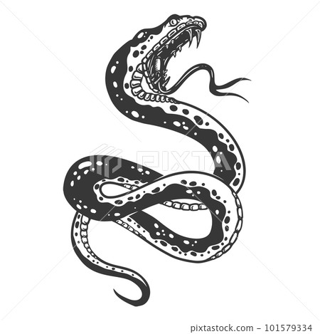 Illustration of poisonous snake in engraving style. Design element for logo, label, emblem, sign, badge. Vector illustration Illustration of poisonous snake in engraving style. Design element for logo, label, emblem, sign, badge. Vector illustration 101579334