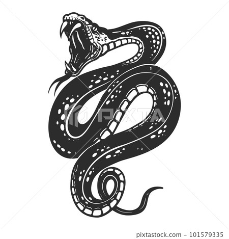 Illustration of poisonous snake  in engraving style. Design element for logo, label, emblem, sign, badge. Vector illustration 101579335