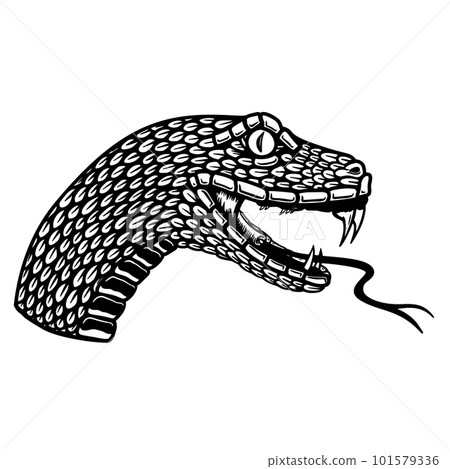 Illustration of head of poisonous snake in engraving style. Design element for logo, label, emblem, sign, badge. Vector illustration 101579336