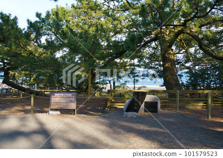 Miho no Matsubara Pine of Hagoromo Miho no Matsubara Pine of Hagoromo 101579523