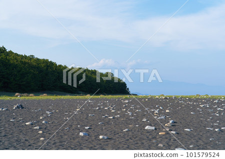 Miho no Matsubara and Mt. Fuji 101579524