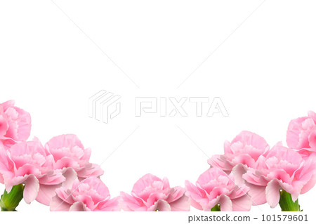 Bouquet of pink carnations and frame material on white background Bouquet of pink carnations and frame material on white background 101579601