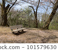 A bench that feels the arrival of spring 101579630