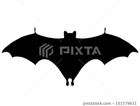 蝙蝠剪影圖-插圖素材 [101579631] - PIXTA圖庫