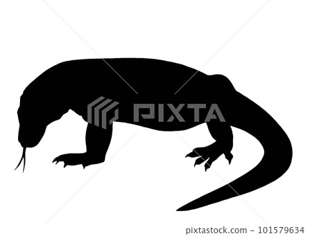 科莫多龍剪影圖 101579634