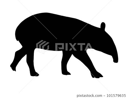 馬來貘剪影圖 101579635