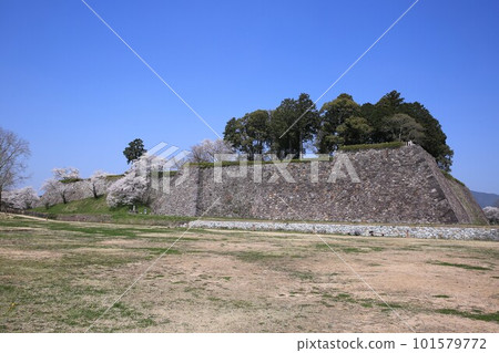 Shinoyama Castle 101579772