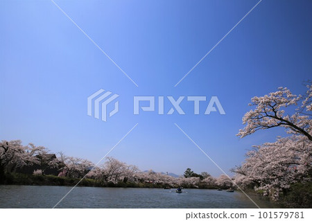 Shinoyama城堡 Shinoyama城堡 101579781