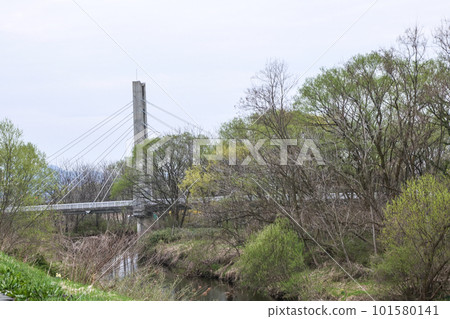 早春柳綠的北上川水系莫勝川上的吊橋 早春柳綠的北上川水系莫勝川上的吊橋 101580141