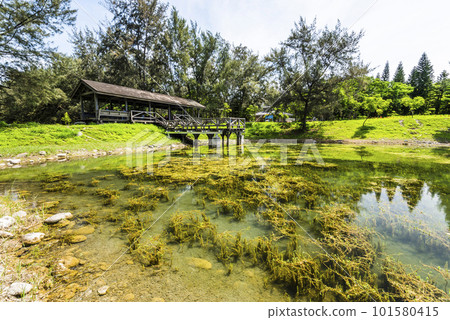 Beautiful view of Pipa Lake at Taitung Forest Park in Taiwan. The scenic Pipa Lake is a habitat of aquatic animals and plants. Beautiful view of Pipa Lake at Taitung Forest Park in Taiwan. The scenic Pipa Lake is a habitat of aquatic animals and plants. 101580415