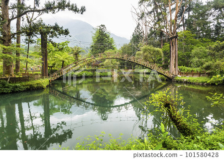The Landmark of Xitou- University Pond at Xitou Nature Education Area in Nantou, Taiwan. 101580428