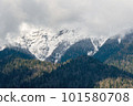 Mountain landscape, mountain pine on the stone with beautiful view on mountain cover with snow. 101580708