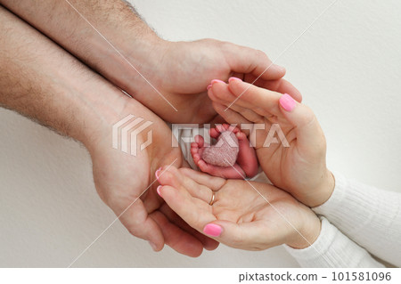 Feet, toes, heels of a newborn. Children's foot in the hands of mother, father, parents with a knitted pink heart. The legs of the child in the arms of mom and dad. On a white background. 101581096
